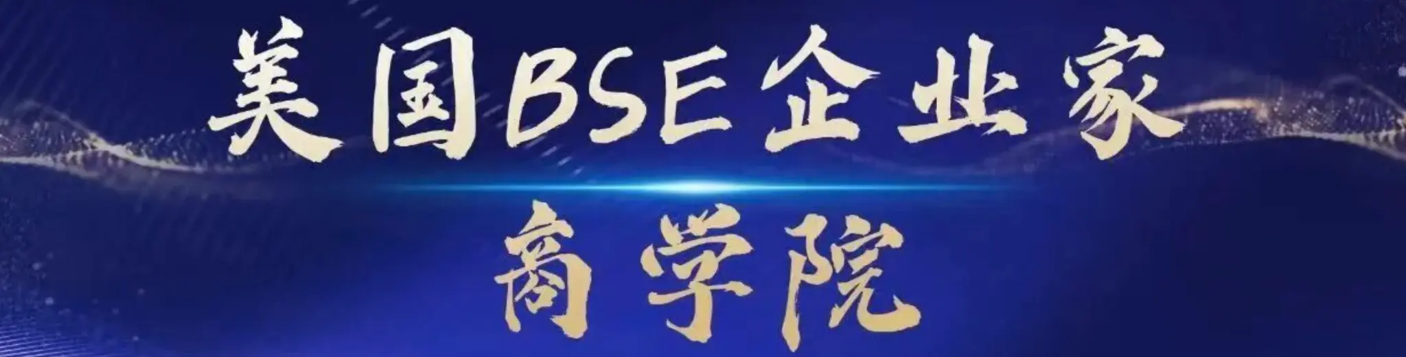 美国BSE企业家商学院